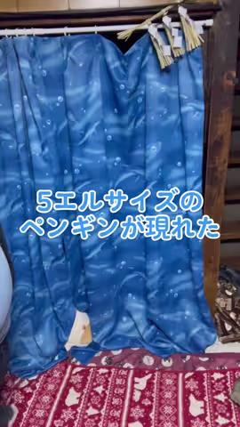 https://www.tiktok.com/@saki_aya.301/video/7214463544480468226のカバー画像