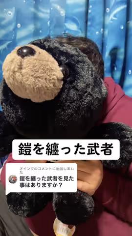 https://www.tiktok.com/@saki_aya.301/video/7220395473176153345のカバー画像