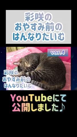 https://www.tiktok.com/@saki_aya.301/video/7203718326642560258のカバー画像